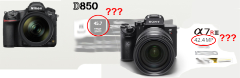 Sony VS Nikon megapikslid.