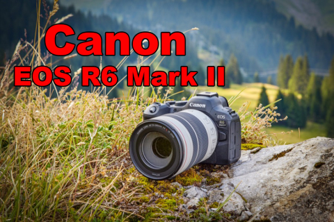 Canon EOS R6 Mark II