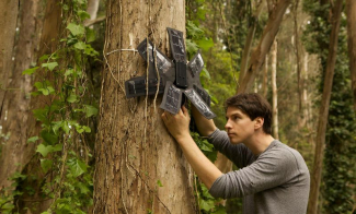 Topher White paigaldamas Guardiani eukalüptipuule. Foto: Rainforest Connection